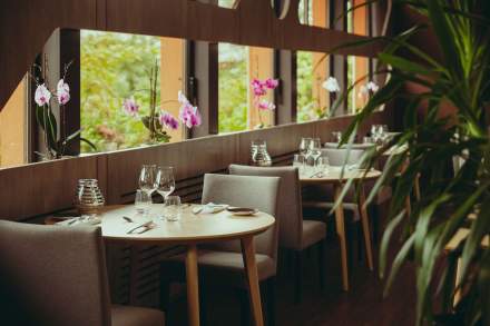 Restaurant du Pont de Jons · Restaurant à Jons